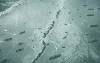 Normandy Traffic through a Gooseberry